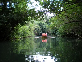 Dominica Indian River10